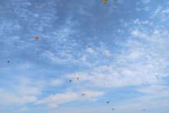 979e8613-dd85-4ebc-8cca-cae63c6627fd-1_all_10516
