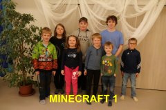 MINECRAFT-5
