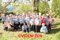 cviceni-zen-streda