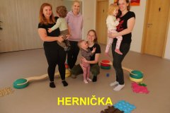 hernicka
