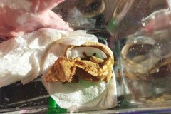 IMG_20261016_163557