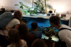 IMG_20261016_164623