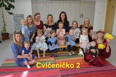 CVICENICKO-2